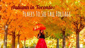Autumn in Toronto / Ontario:  Beautiful Spots to Take Photos